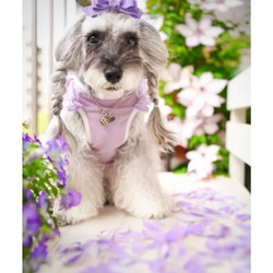 【トリプルリボン】犬用リボン　わんこリボン　犬リボン　犬　バレッタ　紫 5枚目の画像