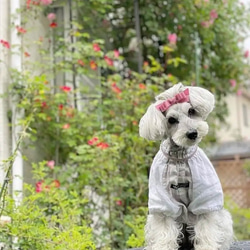 【トリプルリボン】犬リボン　犬りぼん　赤　クリスマス　リボン 9枚目の画像