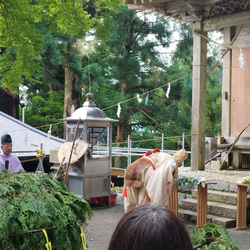 熊野護香　玉置神社　龍神　３枚入り 4枚目の画像