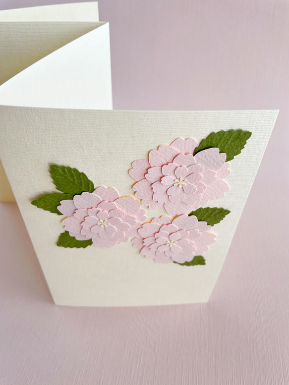 八重桜の寄せ書きカード・メッセージカード・小箱付き / 春・送別・ウェディング・卒業 8枚目の画像
