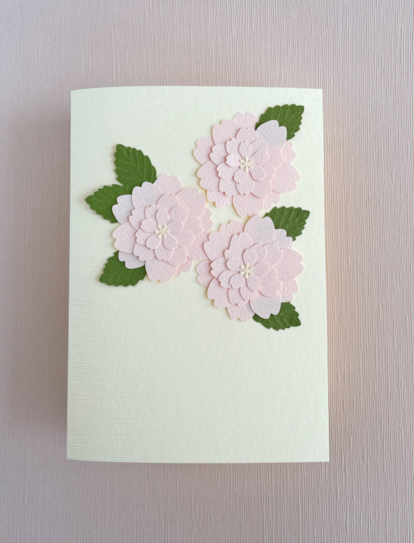 八重桜の寄せ書きカード・メッセージカード・小箱付き / 春・送別・ウェディング・卒業 7枚目の画像