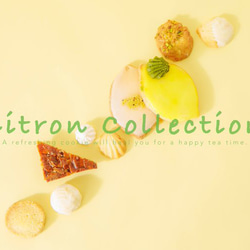 レモンのフレーバークッキー缶 2枚目の画像