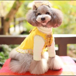 【ルル】犬リボン　犬用ヘアアクセサリー　わんこリボン 5枚目の画像