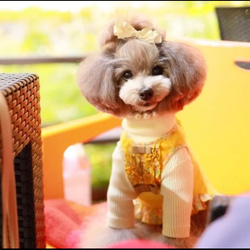 【ルル】犬リボン　犬用ヘアアクセサリー　わんこリボン 4枚目の画像
