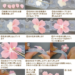 (S1087)シリコンモールド 花弁型 花びら プロフェッショナル（特大・大） 紫陽花 あじさい ハイビスカス 粘土向き 2枚目の画像