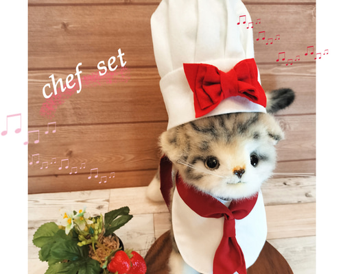 ぱぺ服ブラウン猫クリームリボン準備中 ぱぺ服茶猫水色リボン - メルカリ