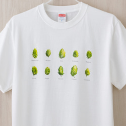 【新作】雪国発!!  10種のホップTシャツ（ホワイト） 1枚目の画像