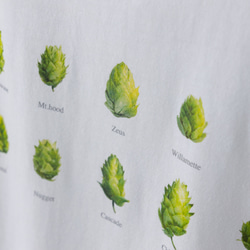 雪国発!!  10種のホップTシャツ（ホワイト） 3枚目の画像