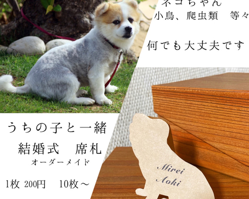 0f8367fcdd0510842d79819de8869c