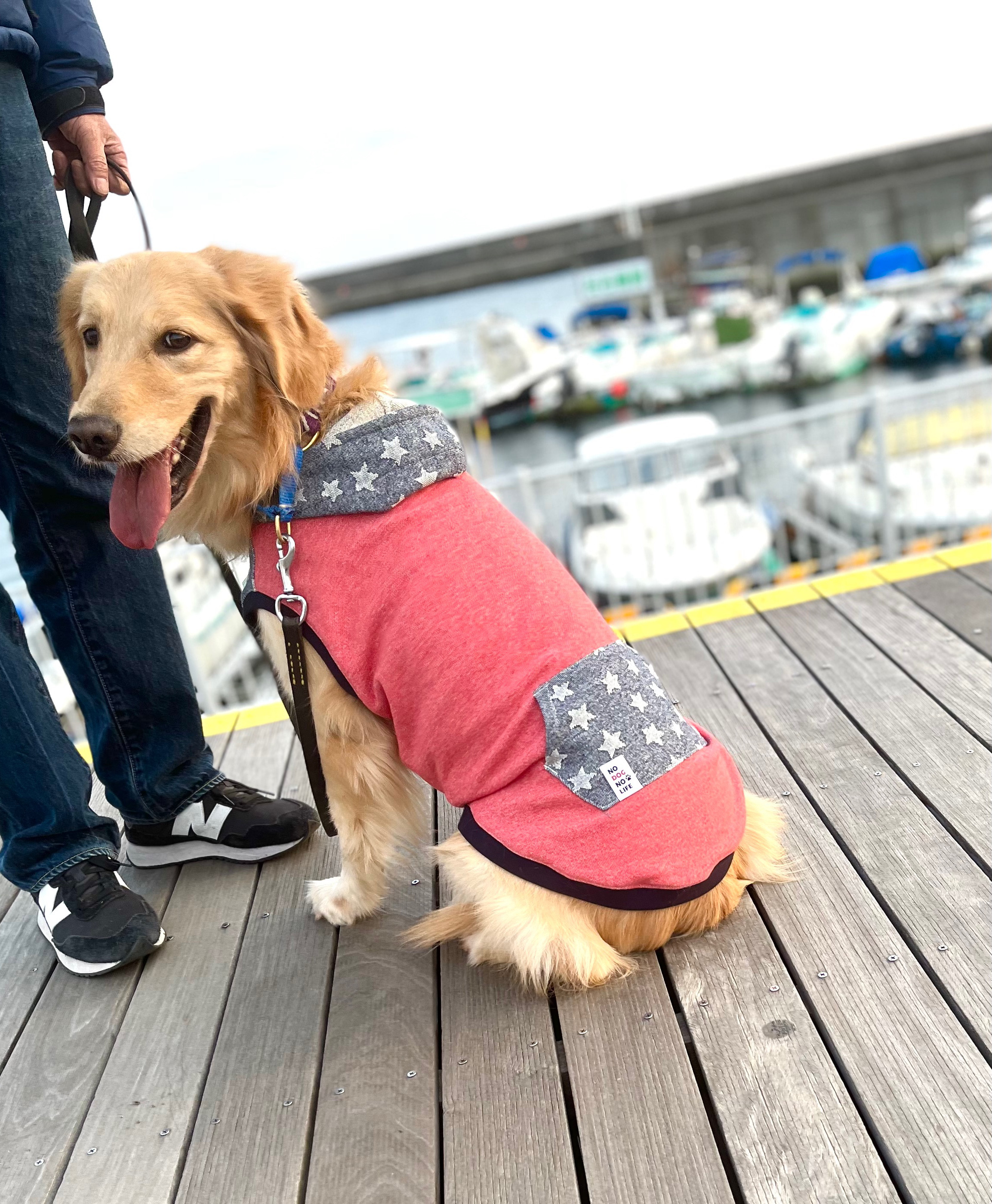 セミオーダーわんこ服❤️星のフーディ★レッドorネイビー　大型犬用