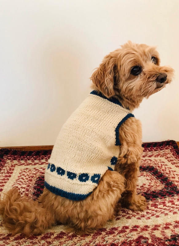 犬服☆ あったか手編みセーター　グレー&イエロー 5枚目の画像