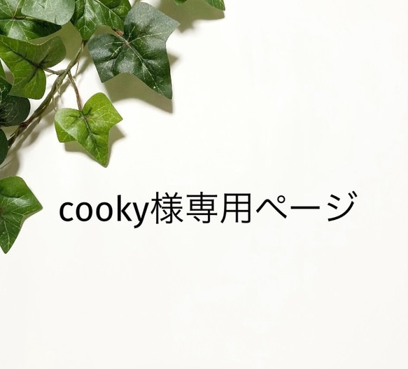 cooky様　専用ページ 1枚目の画像