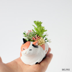 ～猫びより～多肉寄せ植えアレンジ（三毛）ミニ座布団付き【アーティフィシャルフラワー】お誕生日祝い　猫好きさん　ギフト 7枚目の画像