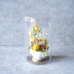 【春の福袋】ミモザの箱庭とアロマワックスシャーレ/サシェの3点セット 6枚目の画像