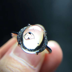 金属アレルギー対応】ねじった表情が美しいハフニウムの結婚指輪 指輪