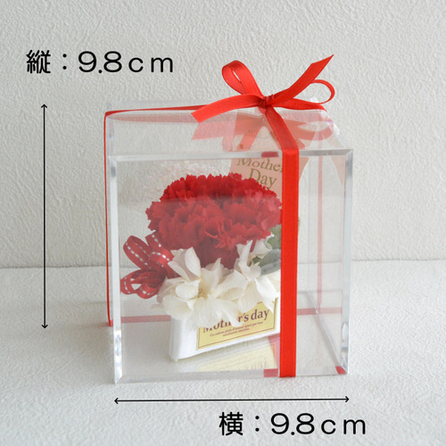 プリザーブドフラワー　母の日　かご花　カーネーション入　ギフトラッピング付き 母の日 プリザーブドフラワー 花束 ブーケ 遅れてごめんね 2026 花