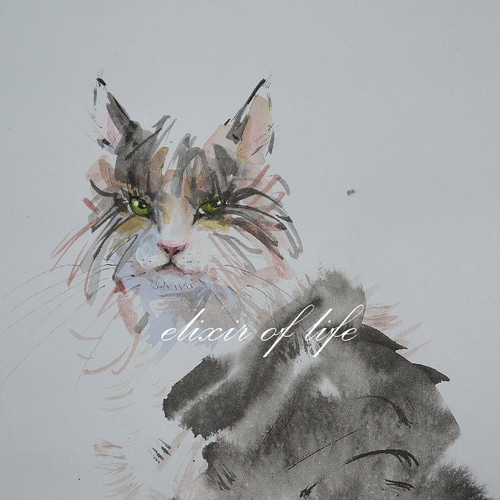 振り向く猫2023，1（水彩画用紙、A4サイズ30cm×21cm