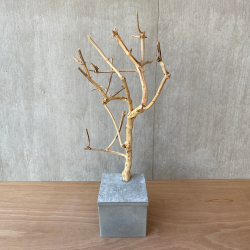 ➄【コンクリート盆栽 流木オブジェ】ディスプレイ アート