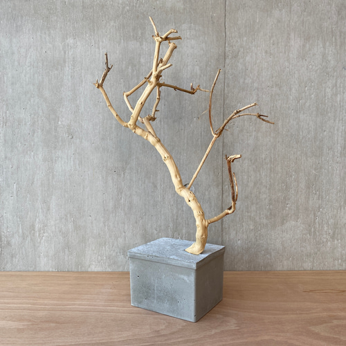 ➄【コンクリート盆栽 流木オブジェ】ディスプレイ アート