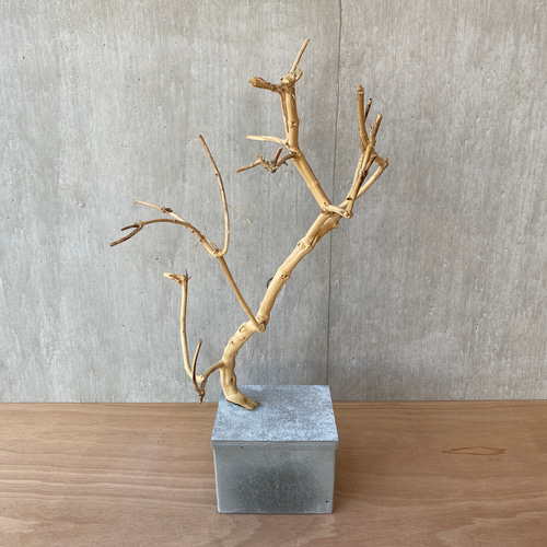 ➄【コンクリート盆栽 流木オブジェ】ディスプレイ アート
