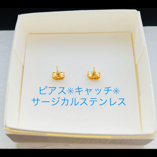 ナナホシテントウ てんとう虫 ピアス イヤリング テントウムシ
