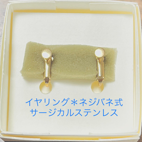 ナナホシテントウ てんとう虫 ピアス イヤリング テントウムシ
