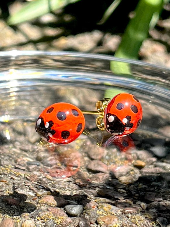 ナナホシテントウ　てんとう虫　ピアス　イヤリング 2枚目の画像