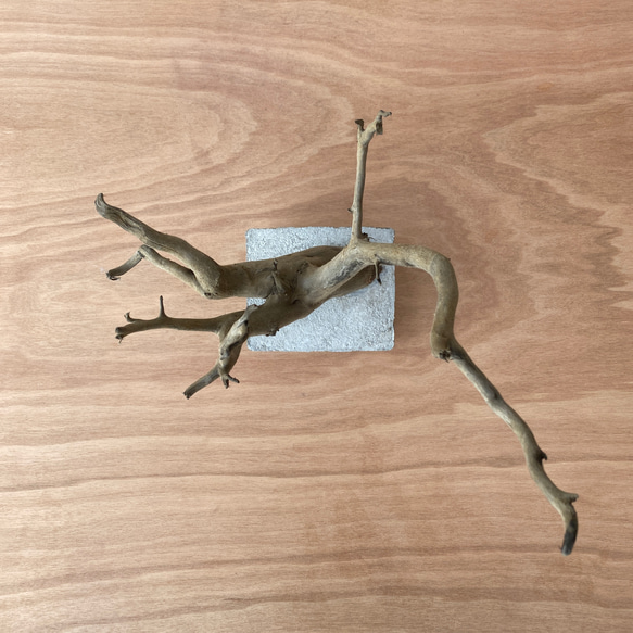 【コンクリート盆栽 流木オブジェ】ディスプレイ 什器 アクセサリー ネックレス インテリア アート 芸術 水槽 爬虫類 9枚目の画像