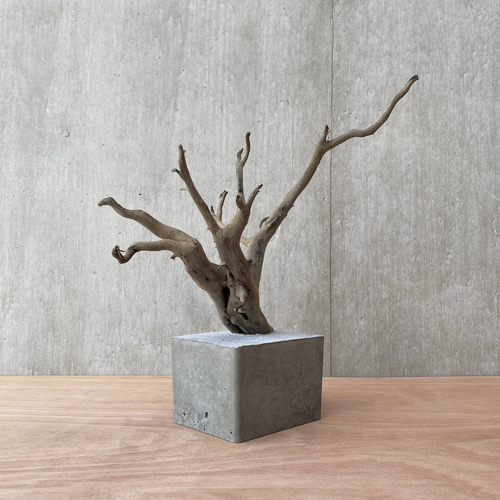 コンクリート盆栽 流木オブジェ】ディスプレイ 什器 アクセサリー
