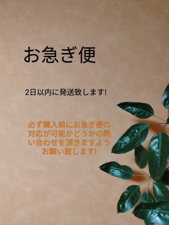 お急ぎ便。。。⚠️事前にお急ぎ便の対応が可能かどうかの問い合わせ必須！ 1枚目の画像