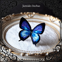首飾り レトロな飴　深青鳴動 青紫蝶々を添えて〈ネックレス/チョーカー〉 11枚目の画像