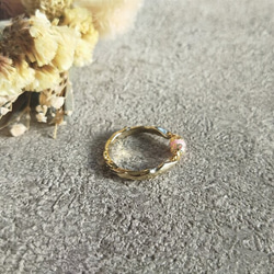 cranberry    インカローズ 3枚目の画像