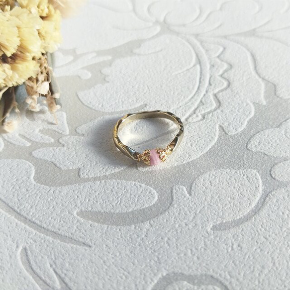 cranberry    インカローズ 1枚目の画像