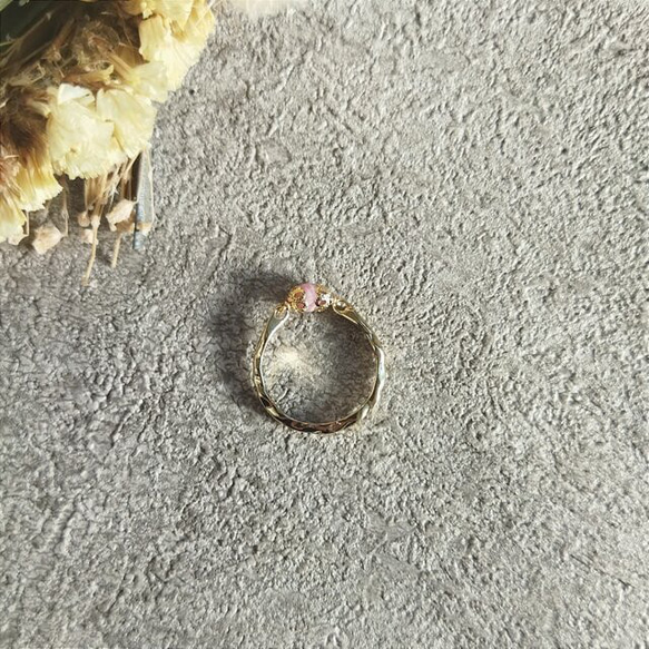 cranberry    インカローズ 4枚目の画像