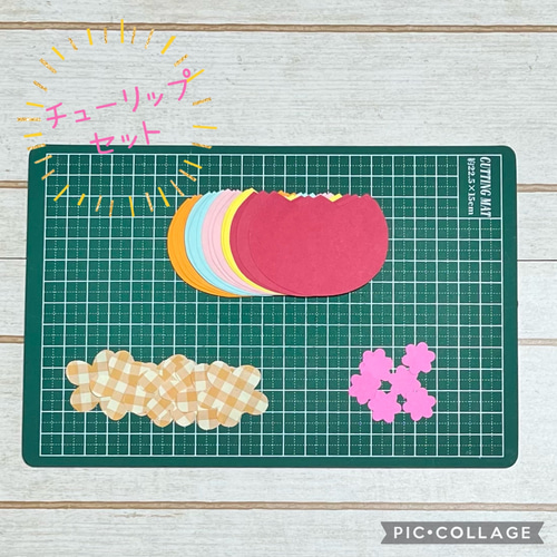 ✳︎【最終販売】NEW⭐︎パープル見開き色紙セット⭐︎色紙