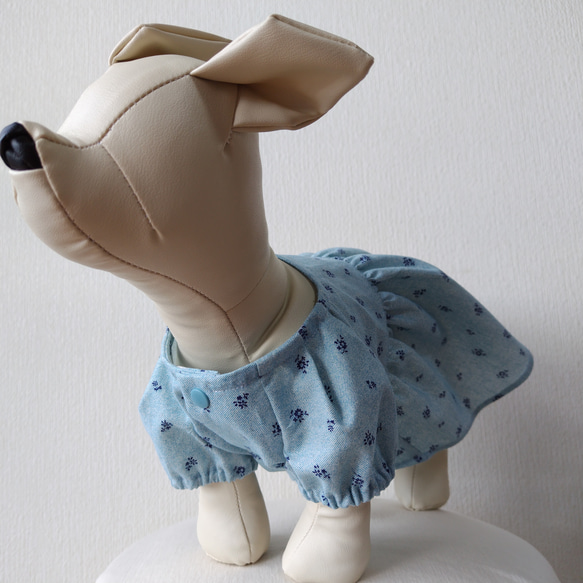 ⭐︎犬服⭐︎handmade ラグラン 気軽