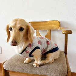 ポップコーン柄 ミニチュアダックス服 タンクトップ グレー杢