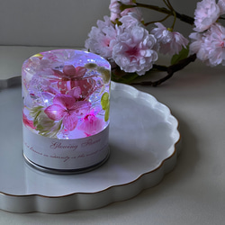 【完成品】光るハーバリウム　Glowing Flower　さくらカラー 4枚目の画像