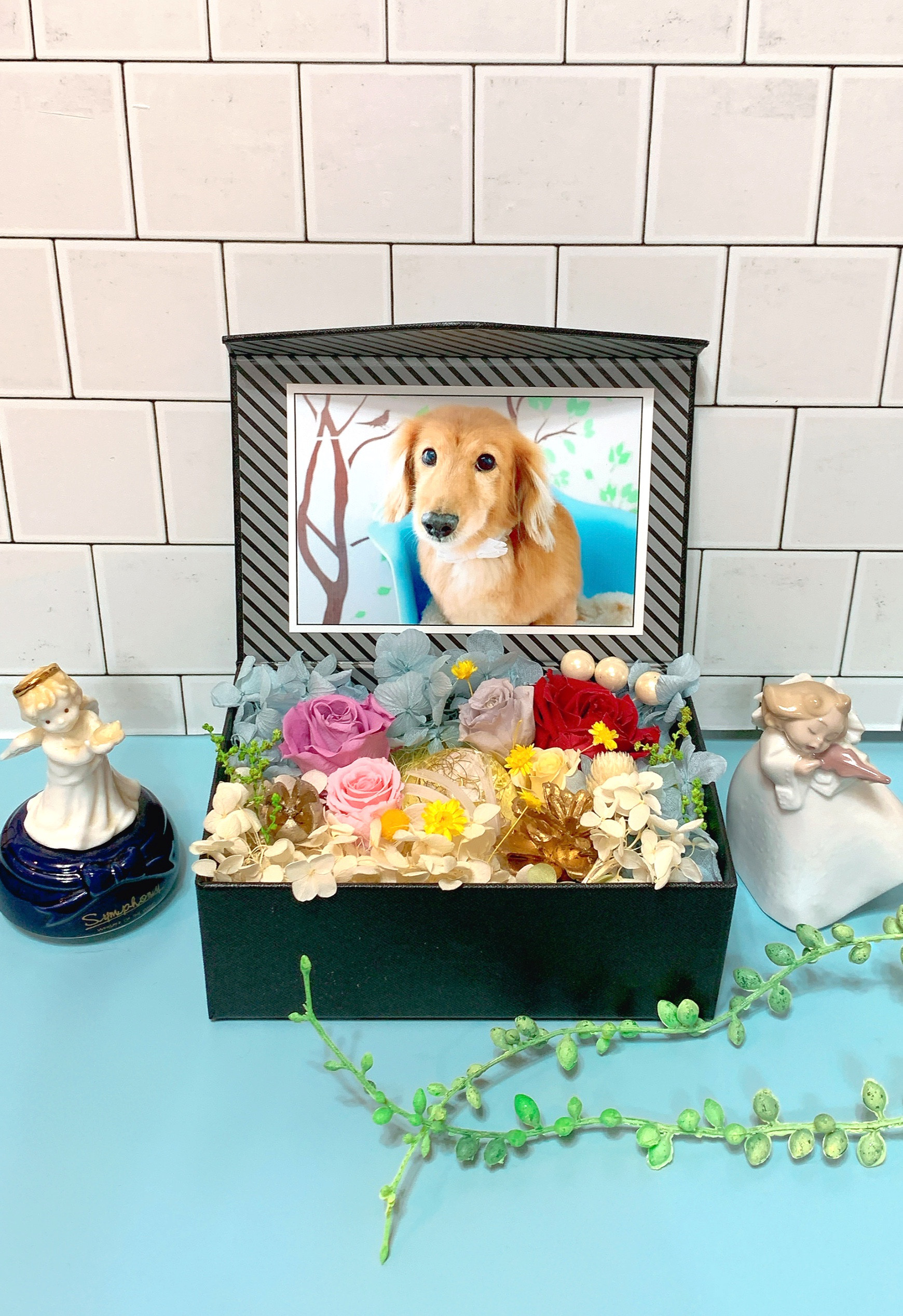 ペット遺骨メモリアル【リメインズBOX】