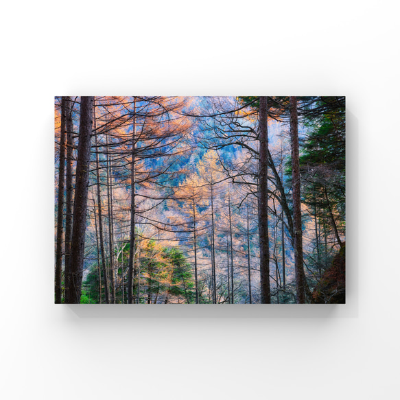 山岳風景･ポストカード 〜Colorful Trees〜（4枚セット／送料無料） 3枚目の画像