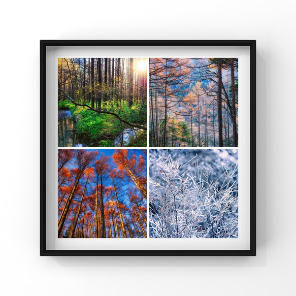 山岳風景･ポストカード 〜Colorful Trees〜（4枚セット／送料無料） 1枚目の画像