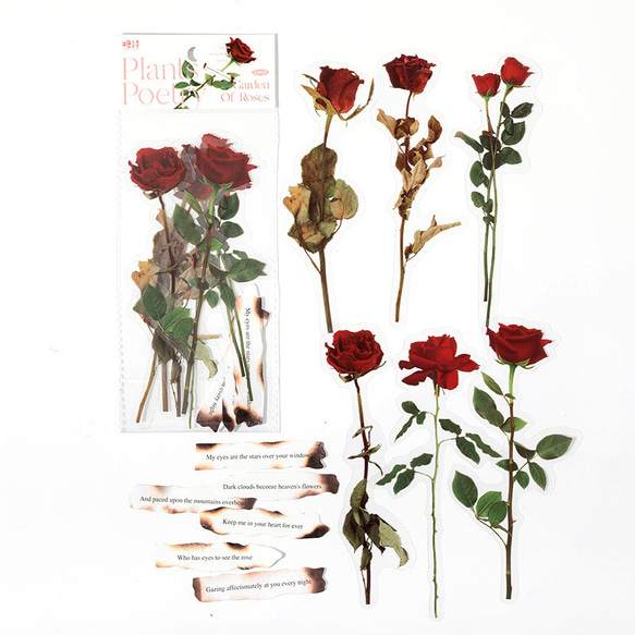 お花と英字のシールセット　12枚　garden of rose　[AW991] 3枚目の画像