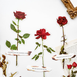 お花と英字のシールセット　12枚　garden of rose　[AW991] 2枚目の画像