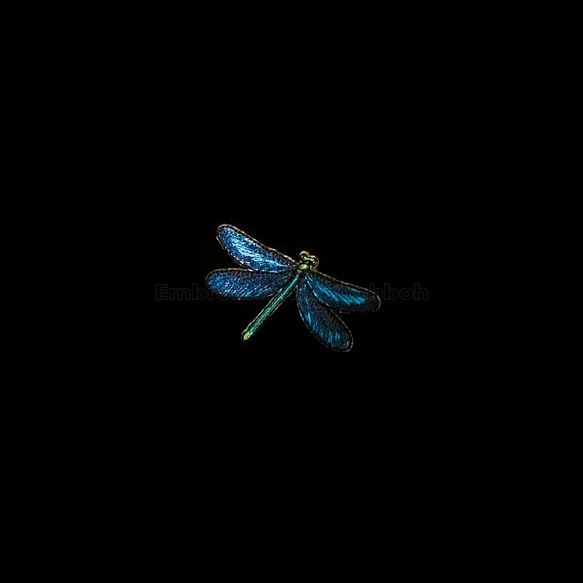 アオハダトンボ　トンボ　昆虫　蜻蛉　 dragonfly 8枚目の画像
