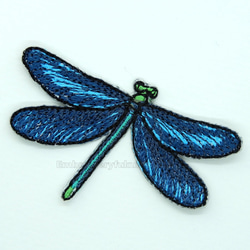 アオハダトンボ　トンボ　昆虫　蜻蛉　 dragonfly 3枚目の画像