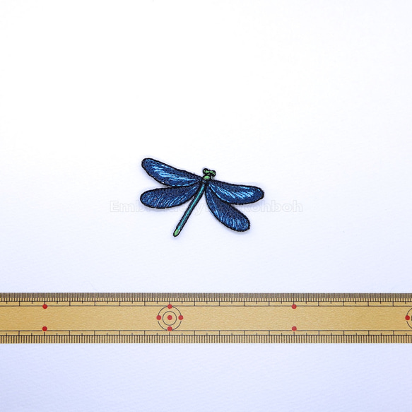 アオハダトンボ　トンボ　昆虫　蜻蛉　 dragonfly 2枚目の画像