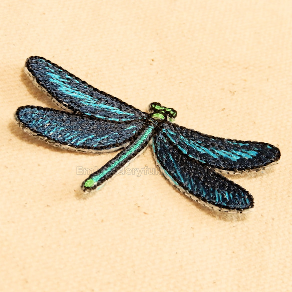 アオハダトンボ　トンボ　昆虫　蜻蛉　 dragonfly 7枚目の画像