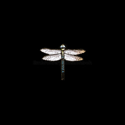 クロスジギンヤンマ　トンボ　昆虫　銀蜻蜓　 dragonfly 8枚目の画像