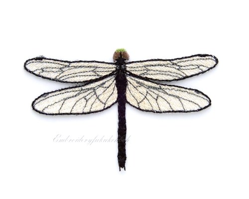 Tom　銅版画手彩色　昆虫　トンボ　フレーム付 6e2602bd18fa0c628c710ddfb4e309