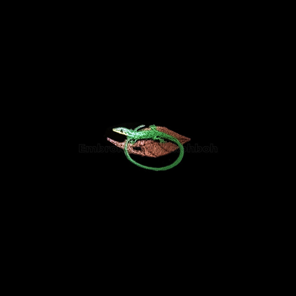 サキシマトカゲ　緑のトカゲ　蜥蜴　爬虫類　トカゲ　lizard 7枚目の画像